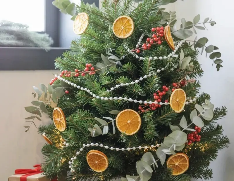 Dried Orange Slice Christmas Tree Ideas for a Modern Rustic Look