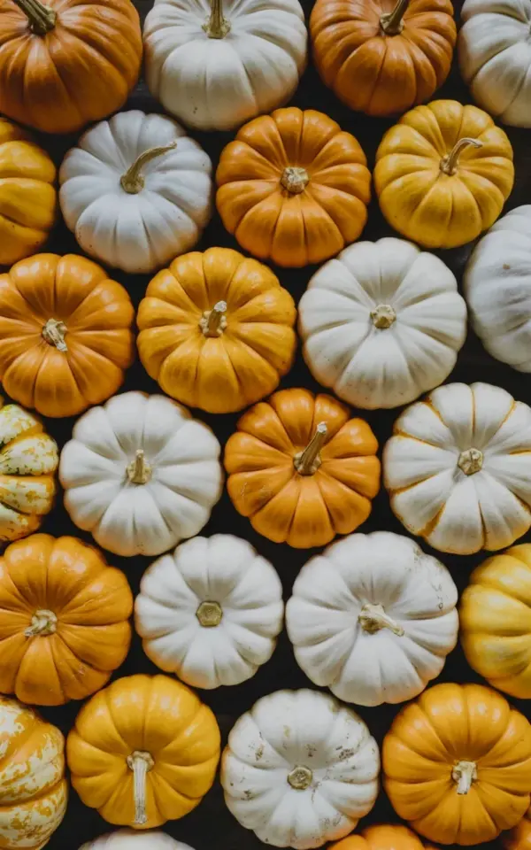 Fall Pumpkin Decor: Orange and White Pumpkins Arranged Against a Dark Background