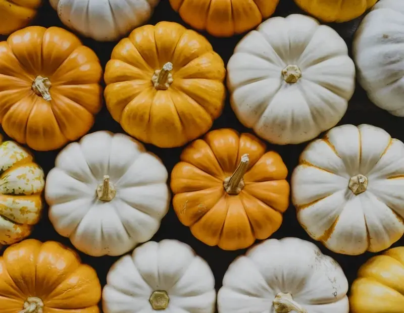 Fall Pumpkin Decor: Orange and White Pumpkins Arranged Against a Dark Background